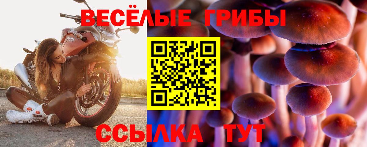 Псилоцибиновые грибы MAGIC MUSHROOMS Курчалой